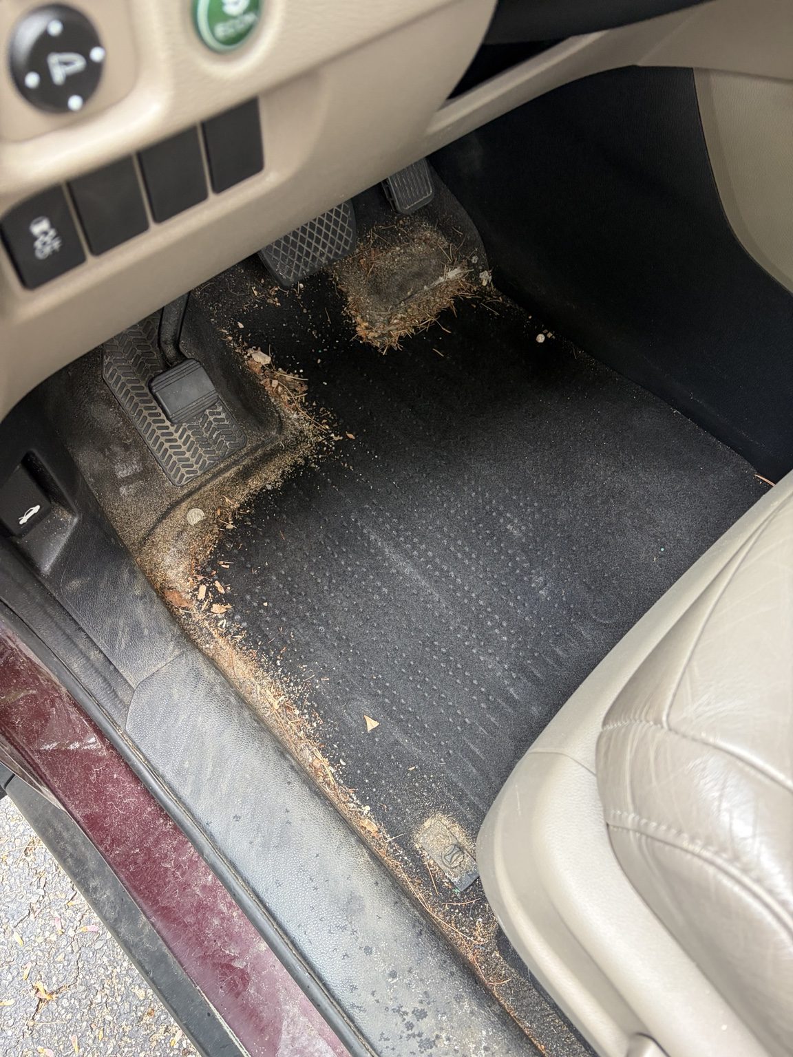 Before Front interior detail